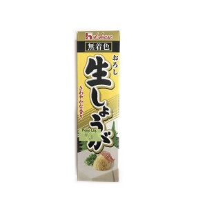 PASTA DE GENGIBRE HOUSE 40G